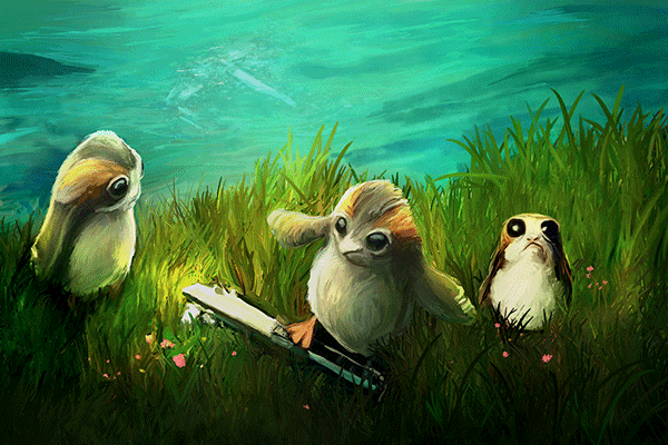 Porgs At Play