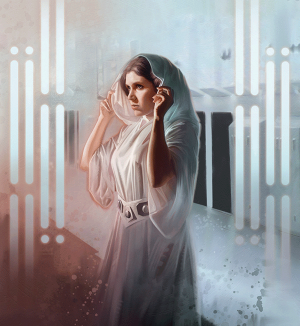 Star Wars - The Princess